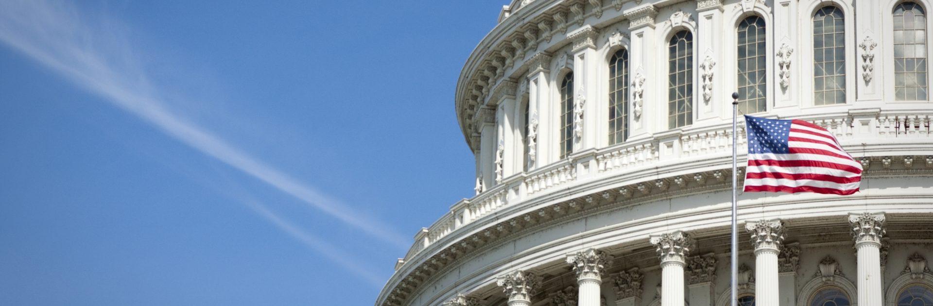 Capital Dome with Flag