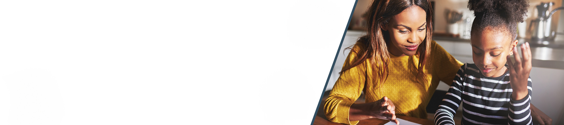 ERA-Banner-without-icons